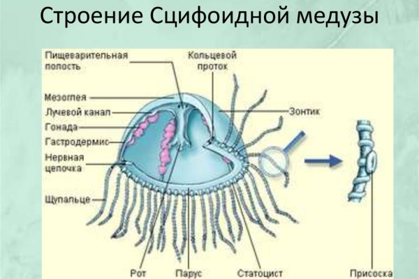 Актуальный домен кракена