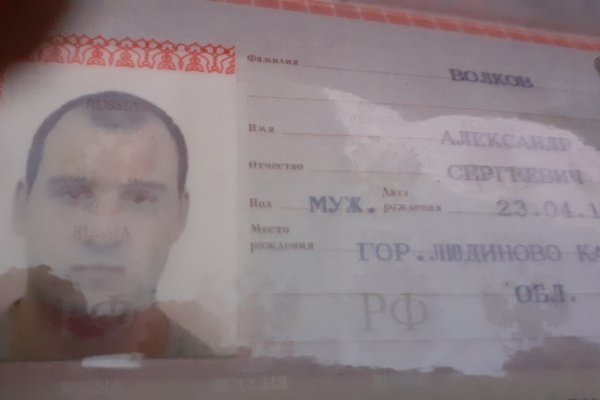 Кракен наркокортель