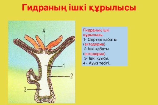 Кракен порошок